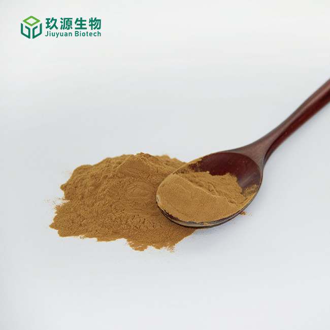 Codonopsis Extract Powder 1