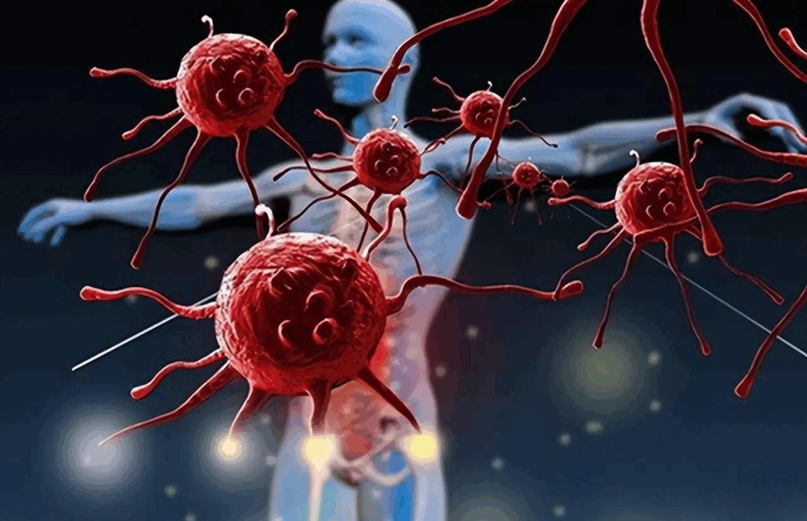 Improve immunity Improve immunity